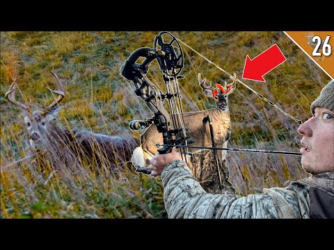 Видео: Охота с луком по гону в Айове!!! (Часть 2)