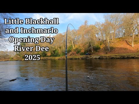 Видео: ДЕНЬ ОТКРЫТИЯ РЕКИ ДИ 2025