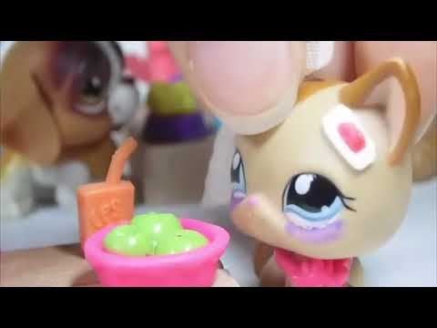 Видео: LPS: Дневник Толстушки ( Удалённое видео Насти Смайл ) 9 серия