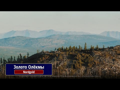 Видео: Золото Олёкмы