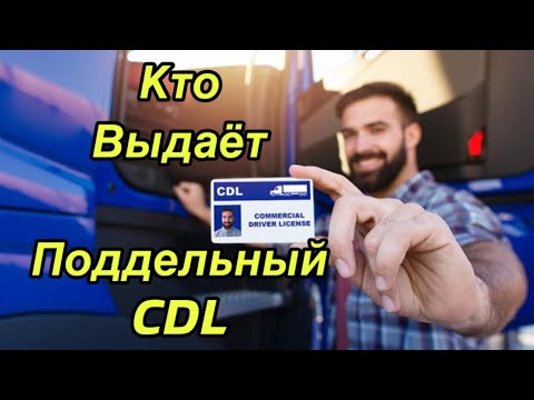 Видео: Поддельный CDL  Кто выдаёт поддельные права на трак в сша