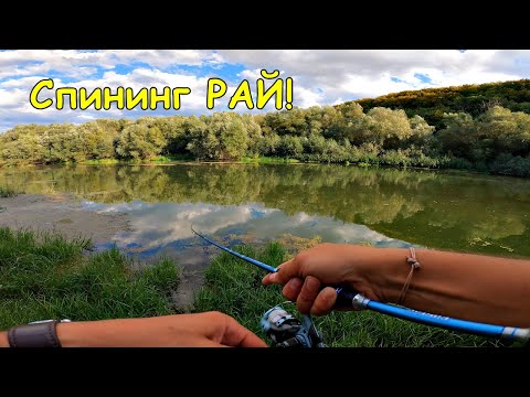 Видео: ДИВИ места ПЪЛНИ с РИБИ по РЕКАТА - СПИНИНГ РАЙ за РИБОЛОВЦИ / FISHING for WILD FISH/ Речная рыбалка