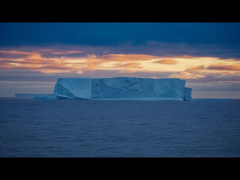 Видео: Да! Антарктида!