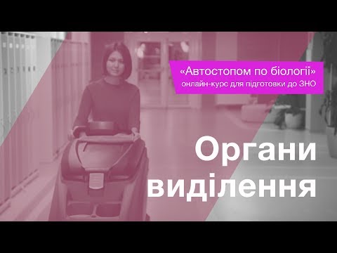 Видео: Органи виділення – Підготовка до ЗНО – Біологія