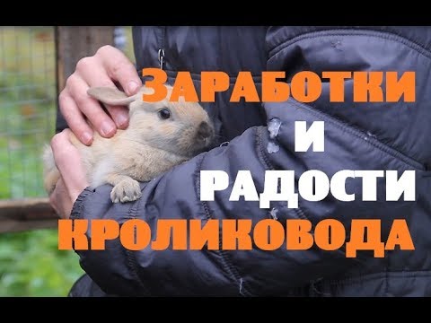 Видео: Летний заработок на кроликах и радости селекции .