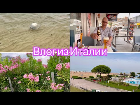 Видео: Бибионе 2024//Второй день отпуска//Знакомтесь это наша Элли