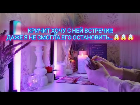 Видео: КРИЧИТ: ХОЧУ С НЕЙ ВСТРЕЧИ!!! ДАЖЕ Я НЕ СМОГЛА ЕГО ОСТАНОВИТЬ...🤯🤯🤯