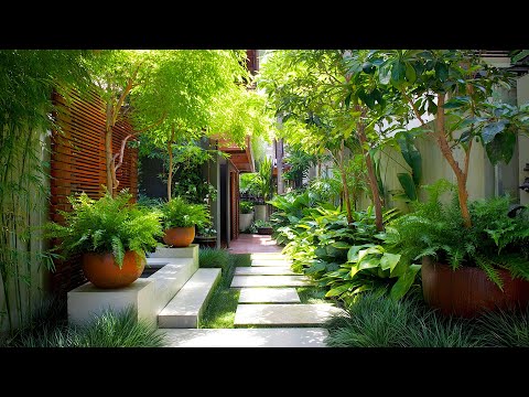 Видео: Вдохновение для дизайна оазисного сада: экологичные решения для прохлады вашего дома