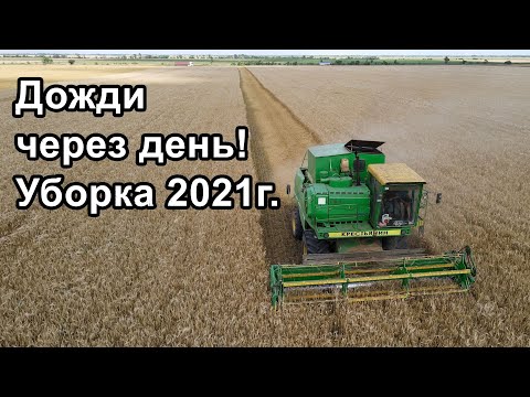 Видео: Уборка озимого ячменя 2021г. Комбайн ДОН-1500Б.