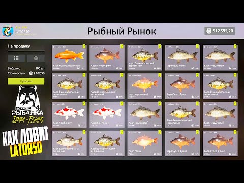 Видео: Русская рыбалка 4. 🎣 оз. Медное 🐋💦 КАК ЛОВИТ LATORSO 👀