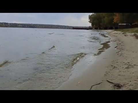 Видео: 8 октября 2025 г.🍀Ну что, поплаваем?! Днепр 🍀 Самарский район 🍀 Приднепровский парк 