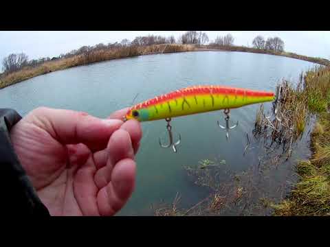 Видео: 18 ноября - день Орбита 110 го )))