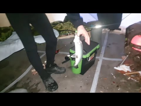 Видео: ДЕНЬ БЕЛОЙ РЫБЫ!!! РЫБАЛКА НА СЕВЕРЕ!!!