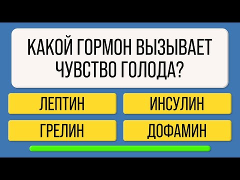 Видео: Только самые эрудированные смогут пройти этот тест!