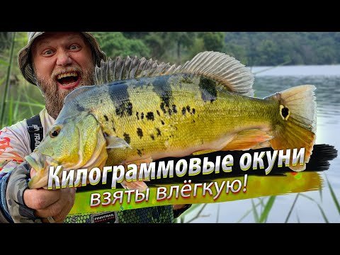 Видео: С самого утра КАК НАЧАЛО КЛЕВАТЬ! Вот это рыбалка! Микроджиг и мелкие поверхностные приманки.