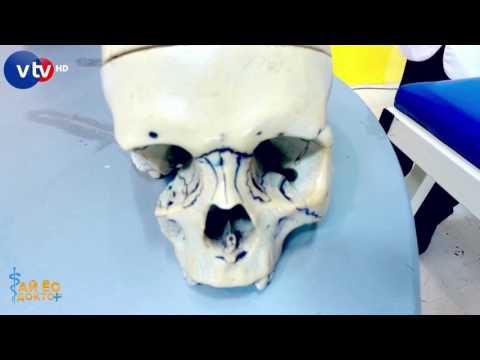 Видео: "Тархины даралт"