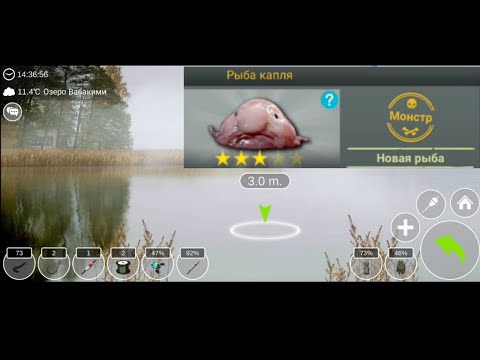 Видео: My Fishing World #39 // Озеро Вабакими // Рыба Капля...