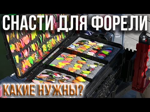 Видео: Какие снасти нужны для ловли форели.
