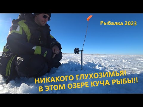 Видео: НИКАКОГО ГЛУХОЗИМЬЯ!!! Флажки встают каждую МИНУТУ! Рыбалка 2023