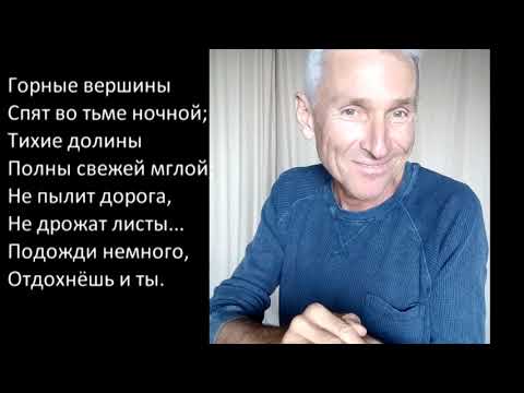 Видео: Вадим Каневский КОГДА СЛОВА ТАНЦУЮТ 3 Тонический стих в поэзии