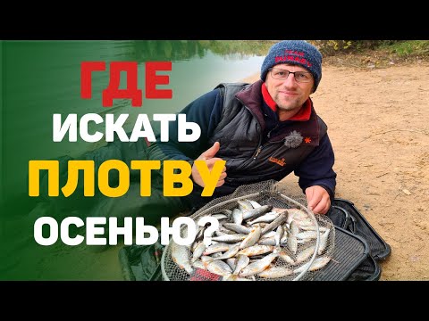 Видео: Где искать плотву осенью?