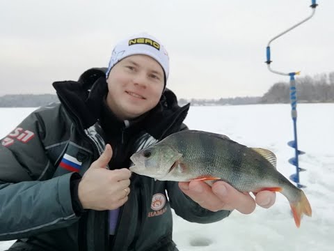 Видео: Окунь на мормышку и безмотылку. Зимняя рыбалка 2020.