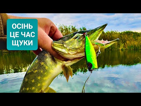 Видео: ✅ НАЛОВИЛИ ЩУК та КУЧУ СІТОК ❗️ Браконьєри Не Сплять 😱 ЛОВЛЯ ЩУКИ на СПІНІНГ