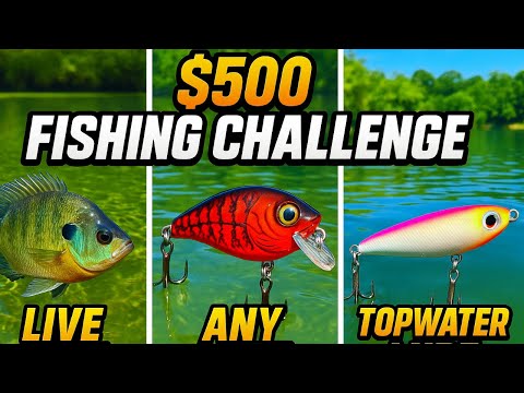Видео: Рыболовный турнир стоимостью 500 долларов: живая наживка против приманок и поверхностная рыба