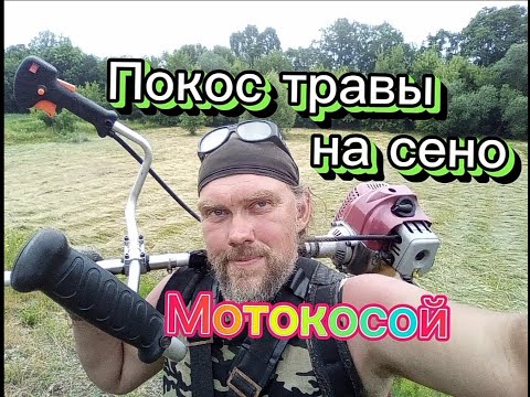 Видео: Покос травы на сено Мотокосой