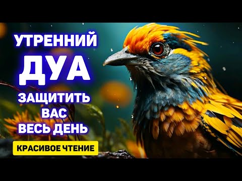 Видео: УТРЕННИЙ ДУА أذكار الصباح ЗАЩИТИТЬ ВАС ВЕСЬ ДЕНЬ | СЛУШАЙТЕ КАЖДОЕ УТРО!