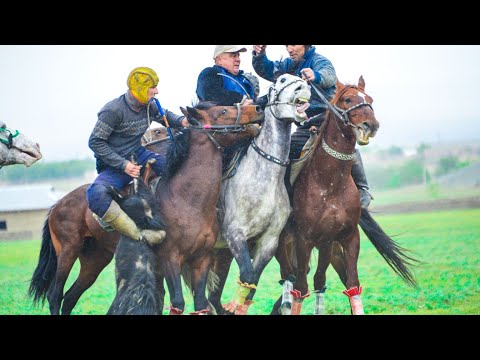 Видео: Сух купкари улок. Зафар Хисенов. 13.11.2022