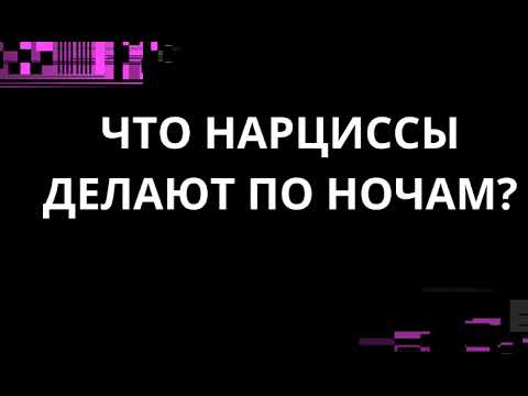 Видео: ЧТО НАРЦИССЫ ДЕЛАЮТ ПО НОЧАМ?