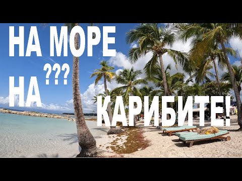 Видео: НА МОРЕ НА КАРИБИТЕ HОLIDAY IN THE CARIBBEAN #nature #animals #travel #travelvlog #caribbean 