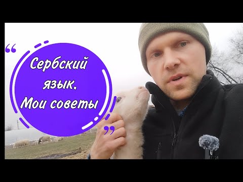 Видео: Сербский язык. Советы для приезжающих