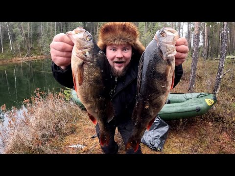 Видео: РЫБАК ПОЙМАЛ ОГРОМНЫХ ОКУНЕЙ. ТОЛЬКО ЗАКИНУЛ И СРАЗУ ПОКЛЁВКА. РЫБАЛКА НА ДИКОМ ЛЕСНОМ ОЗЕРЕ.