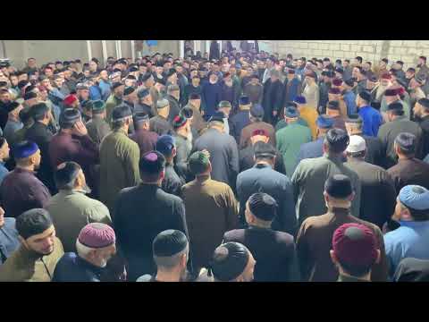 Видео: Саламбек Мохьмад Анди Имран (Гараев Абдула кхелхин тезет)  (12.10.2025)