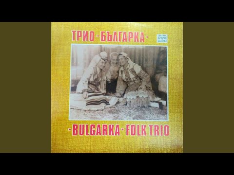 Видео: Три бюлбюла пеят