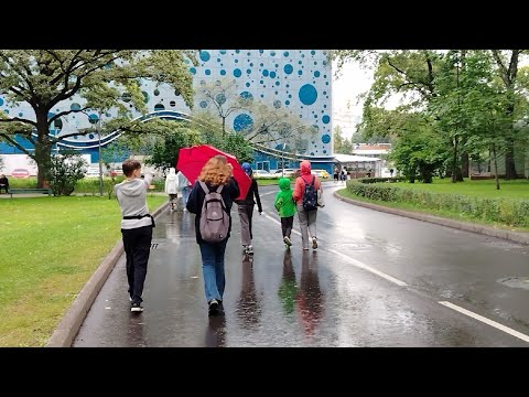 Видео: Едем в Океанариум на шоу Буря