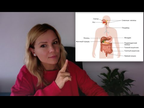 Видео: 🍀🌸🌈 РАБОТА ПИЩЕВАРИТЕЛЬНОЙ СИСТЕМЫ С НАТУРОПАТИЧЕСКОЙ ТОЧКИ ЗРЕНИЯ