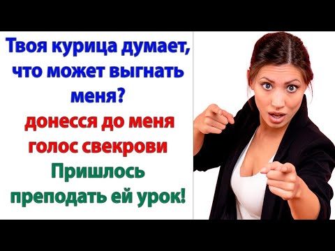 Видео: Да как ты посмела! Я же хотела как лучше! А ты просто жестокая, бессердечная хамка! орала свекровь.