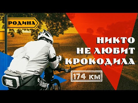 Видео: НИКТО НЕ ЛЮБИТ КРОКОДИЛА. Велопутешествие на РОДИНУ-2023.