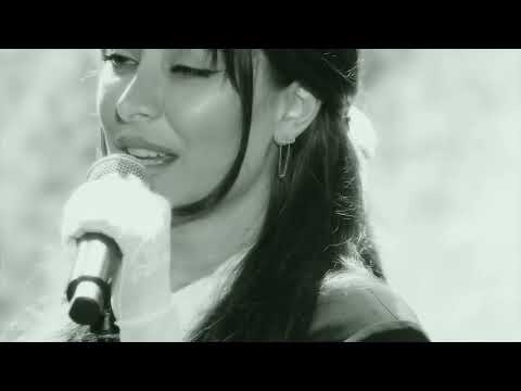 Видео: CHAGA - Скрипка-лиса (Aguteens forum)