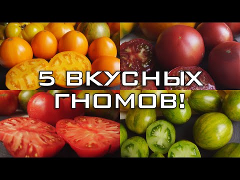 Видео: ТОМАТЫ ГНОМЫ. ОБЗОР ВКУСНЫХ СОРТОВ!