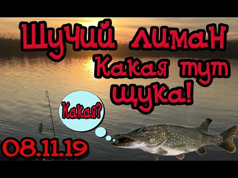 Видео: ЩУКА ОПЯТЬ ОБОРВАЛА MALAS НА ЭТОМ ЛИМАНЕ! ЩУЧИЙ ЛИМАН