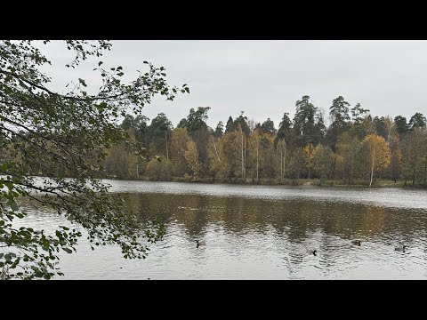 Видео: БЛАГОУСТРОЙСТВО НА БУЛГАНИНСКОМ ОЗЕРЕ. МИКРОРАЙОН ГАГАРИНА. ЛОСИНЫЙ ОСТРОВ. АЛЕКСЕЕВСКАЯ РОЩА.