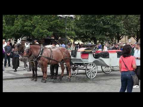 Видео: Староместская площадь