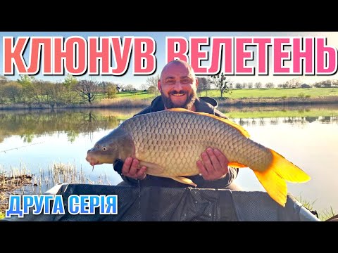 Видео: Біг-фіш на фідер ‼️ Друга доба на новому ставку (Серія 2.)