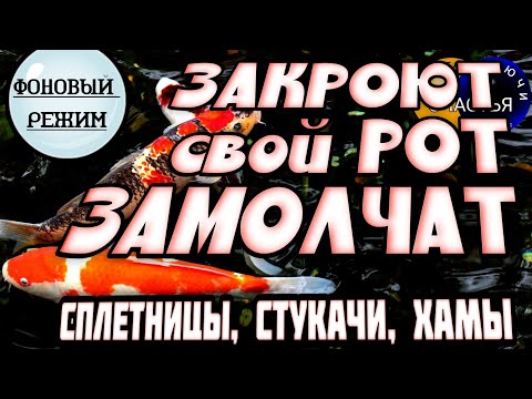 Видео: Магия 🔮 просто посмотри 👁 ЗАЩИТА - СРАЗУ от зла, хамства, сплетен, интриг, секреты счастья