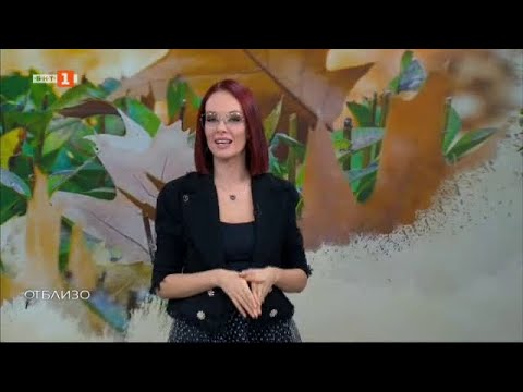 Видео: Приликите и разликите в живота в Япония и България, "Отблизо" 17.11.2024