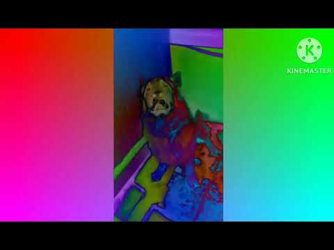 Видео: Ганс сидеть effects (Sponsored by Preview 2 effects)